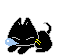 a black cat sleeping