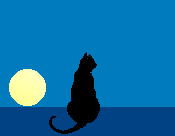 a black cat watches the sun rise and set
